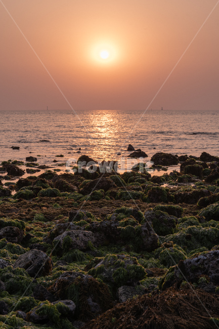 바다,일몰,sunset,노을,윤슬,sea,자연,풍경,nature,landscape