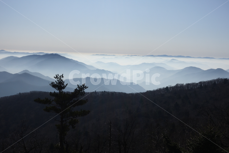 산,정상,발왕산,운무,안개,자연,옥외,outdoors,nature,mountain,풍경,안개낀,몽환적인,실루엣,자연,풍경,nature,landscape