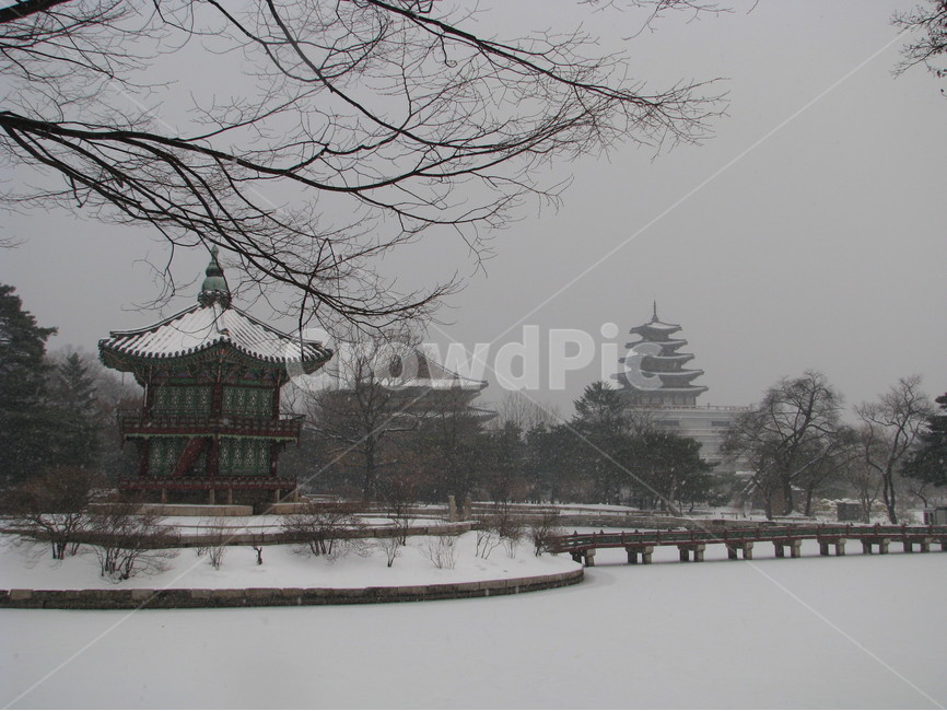 궁궐,경복궁,향원정,겨울,눈,호수,한국,대한민국,겨울,계절,winter,season,한국전통,한국문화,korean traditional,korean culture,랜드마크,landmark,tourist attraction,한국랜드마크,한국관광지,한국명소,korea landmark,korea tourist attraction,건축물,건물외관,exterior,building,structure,architecture,construction