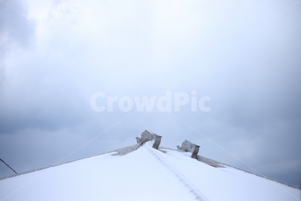 눈,snow,white,하얀,화이트,눈밭,설경,폭설,제주,겨울,여행,빛,겨울사진,winter,light,jeju,korea,한국,감성,감성사진,스냅,햇살,햇빛,제주도,하얀색,지붕,우리집,집,home,house,daily,겨울,계절,winter,season,건축물,건물외관,exterior,building,structure,architecture,construction