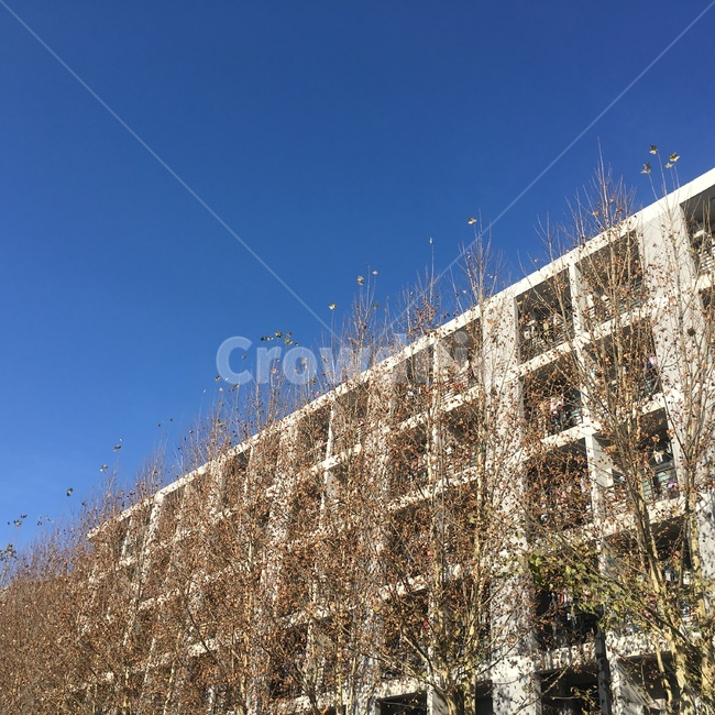 자연,가을,계절,낙엽,나무,풍경,하늘,쓸쓸함,쓸쓸,construction,공사