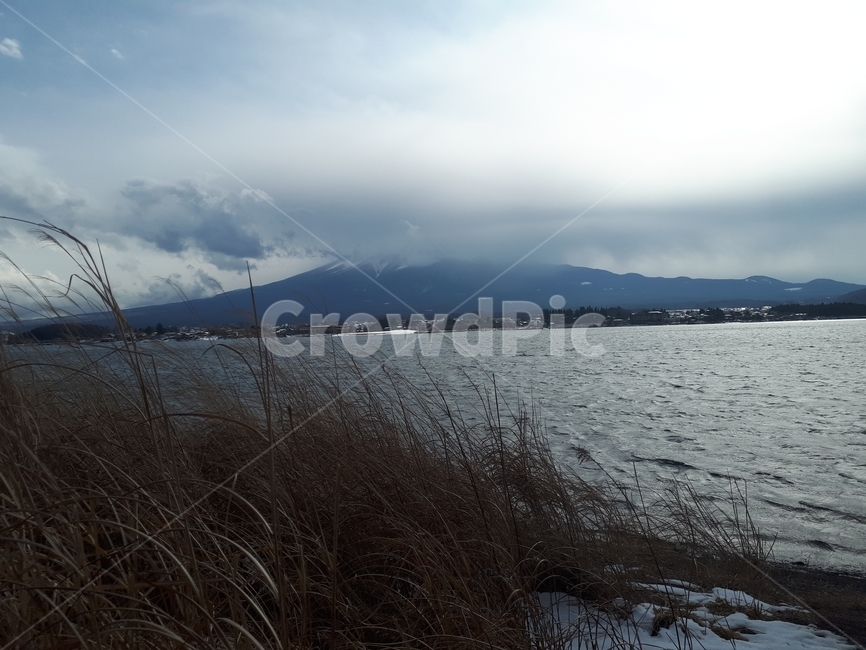 강,산,갈대,어둠,풍경,고요,적막,자연,풍경,nature,landscape,grass,잔디,plant,식물