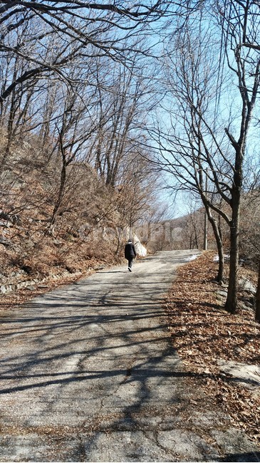 숲길,언덕,외로움,쓸쓸함,올라가다,가을,나무,등산로,산책길