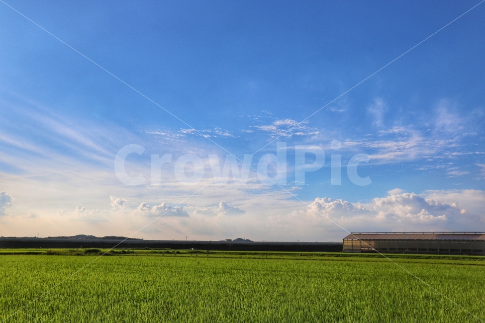 풍경,하늘,800D,사진,매직아워,자연,풍경,nature,landscape,시골,마을,country,rural,town,field,들,grassland,목초지,outdoors,옥외