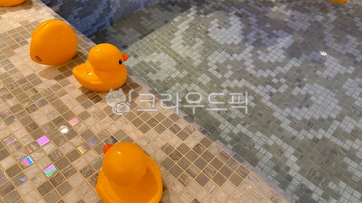 floor,오리,러버덕,수영,수영장,목욕탕,오리인형,장난감,toy,타일,tile