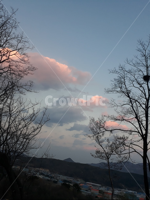 구름,풍경,노을,하늘,나무,자연,옥외,outdoors,nature