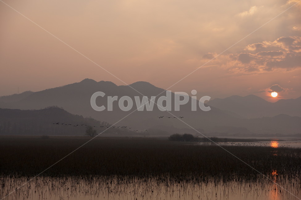 일몰,철새,주남저수지,노을,해넘이,창원,자연,풍경,nature,landscape,한국자연풍경,한국자연경관,korea nature landscape,outdoors,옥외,mountain range,산맥,mountain,산