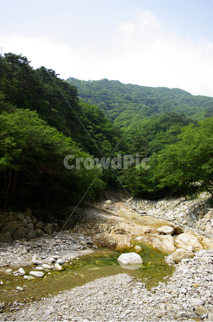 산,계곡,나무,숲,바위,풍경,자연,풍경,nature,landscape,dirt road,흙길,gravel,자갈,road,도로,water,물,outdoors,옥외