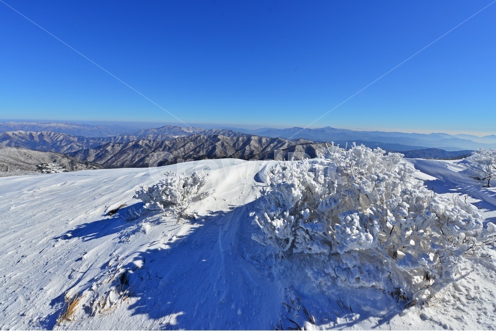 mountain,산,mountainrange,산맥,snow,눈,nature,자연,outdoors,옥외,tree,나무,plant,식물,전나무,fir,경치,경관,풍경,무주,덕유산,덕유산설경,설경,겨울,계절,상고대,향적봉,설천봉,중봉