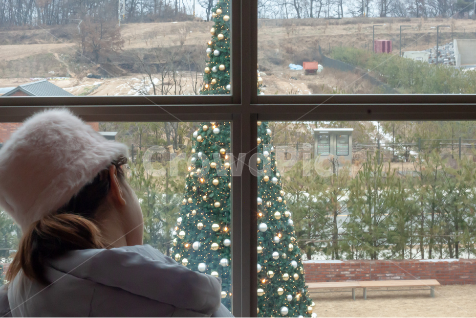 크리스마스,christmas,christmastree,크리스마스트리,창,창밖,트리,소녀,모자,핑크,pink,hat,girl,children,kid,female,daughter,딸,cute,lovely,window,look,1person,겨울,계절,winter,season,사람,인물,인간,human,person,어린이,어린아이,child,children,kid,메리크리스마스,성탄절,merry christmas
