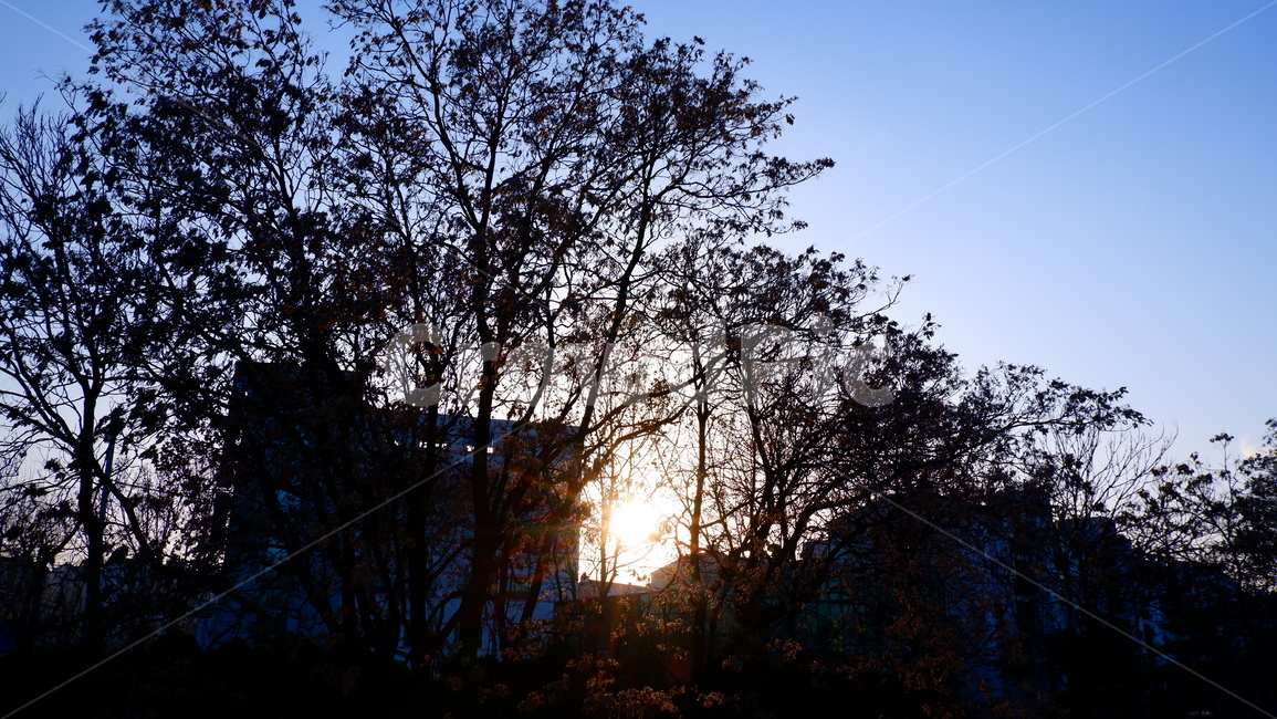 빛,light,햇빛,옥외,nature,자연