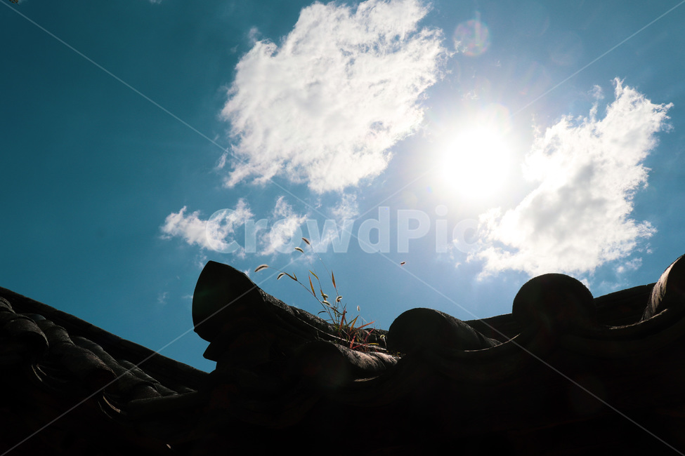 light,빛,flare,플레어,nature,자연,outdoors,옥외,하늘,sky,해,태양,sun,sunshine,cloud,구름