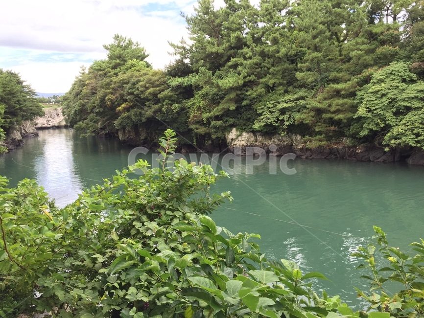 제주도,바다,호수,쇠소깍,자연,숲,자연,풍경,nature,landscape,outdoors,옥외