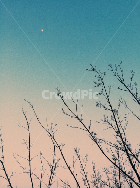 하늘,sky,감성사진,blue,moment,onroad