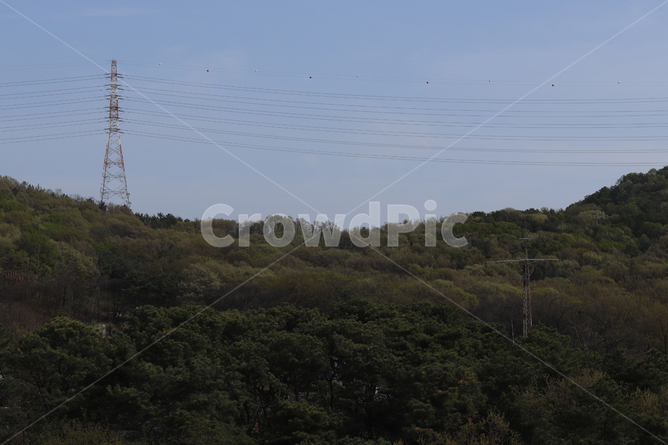 오봉산,전봇대,산,녹색,인천,남동구