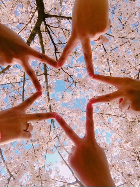 finger,By finger,Cherry Blossom,friendship,star,united,collaboration,friend,consolidation