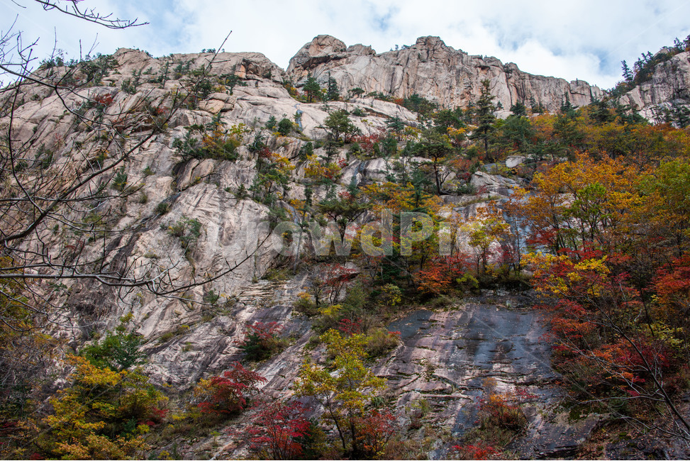 설악산,국립공원,천불동계곡,가을,단풍,기암괴석,가을,계절,fall,autumn,season,자연,풍경,nature,landscape,한국자연풍경,한국자연경관,korea nature landscape,tree,나무,plant,식물,outdoors,옥외