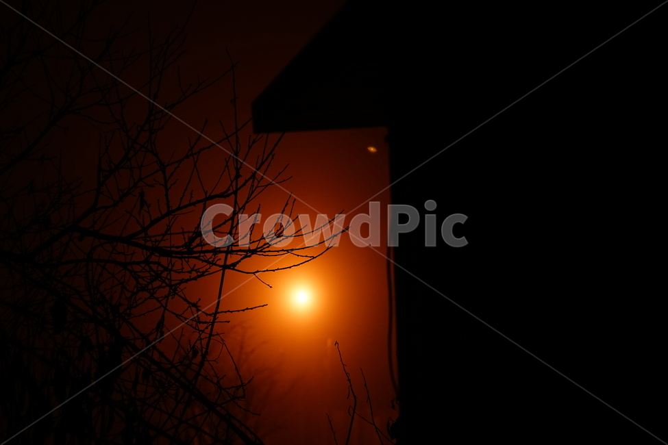실루엣,나무,나뭇가지,자연,풍경,느낌,감성샷,형태,풍경사진,식물,tree,감성사진,컬러,가로등,빛,밤,야경,식물,자연,plants,nature,나무,trees,wood,실루엣,그림자,silhouette,shadow