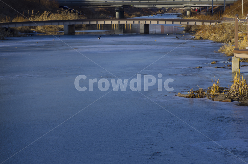 겨울,얼음,강가,얼어붙은강,하천,다리,scene,view,feeling,emotion,nature,landscape,river,ice,frozen,frozenriver,풍경,감정,감성,자연,계절,풍경사진,감성사진,정취