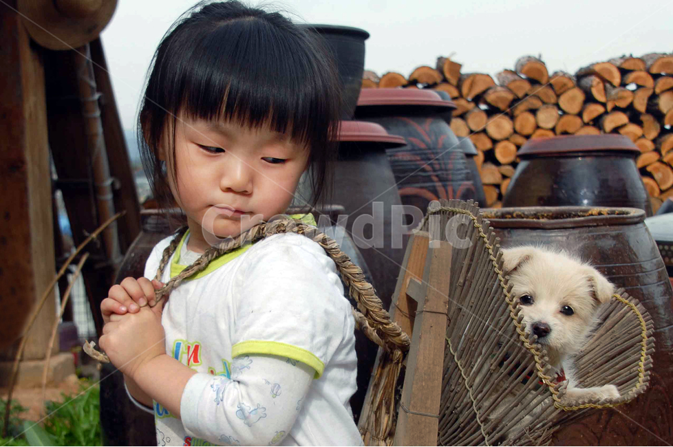 지게,강아지,딸,여자아이,시골,반려견,똥강아지,한국전통,한국문화,korean traditional,korean culture,동물,animal,포유류,mammal,개,강아지,dog,doggy,사람,인물,인간,human,person,얼굴표정,facial expression,face,어린이,어린아이,child,children,kid