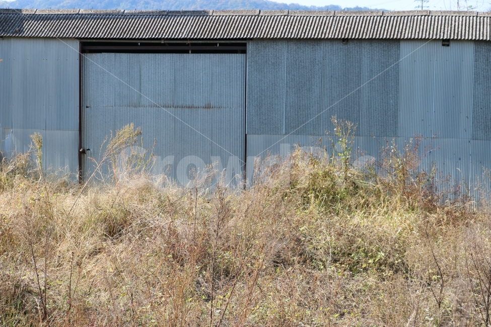 농촌,창고,버려진,축사,농장,나무,시골,마을,풍경,landscape,country,rural,town