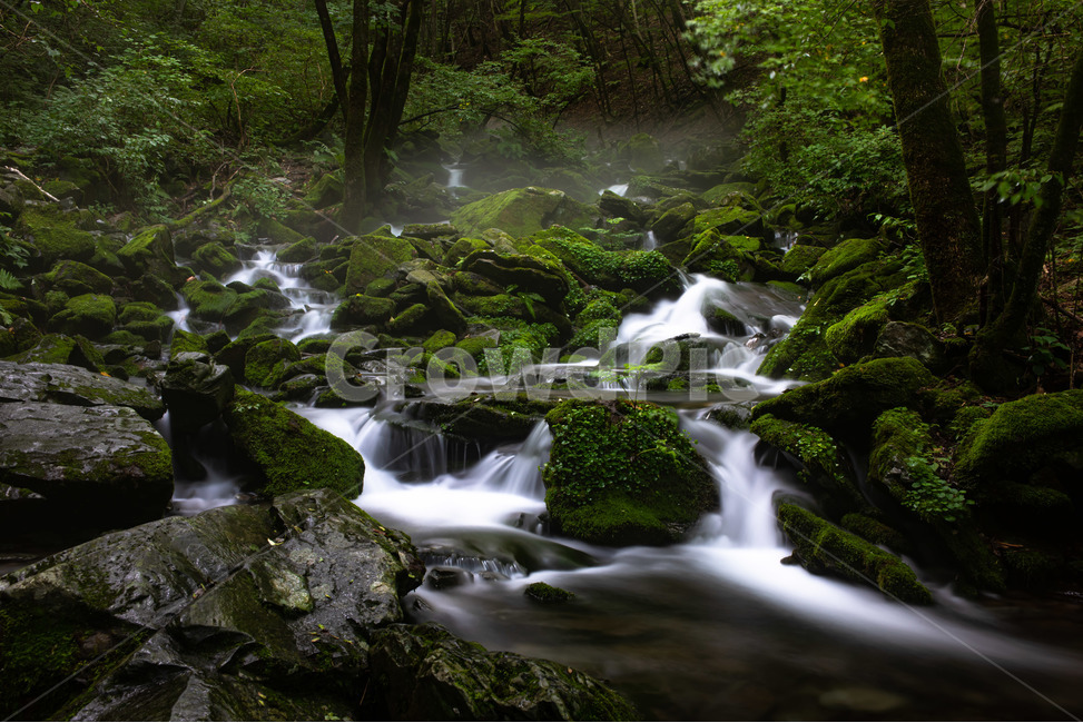 물,자연,이끼,폭포,계곡,여름,계절,summer,season,자연,풍경,nature,landscape,한국자연풍경,한국자연경관,korea nature landscape,water,river,강,outdoors,옥외