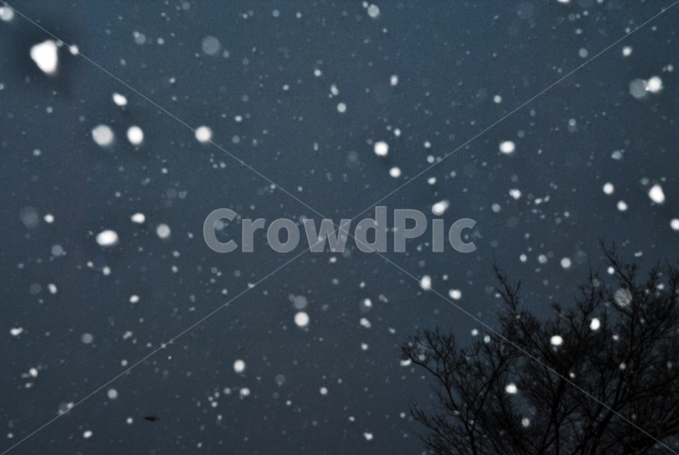 겨울,눈,함박눈,겨울밤,플래쉬,풍경,겨울풍경,겨울,계절,winter,season,야경,밤,풍경,nightscape,night,landscape,nature,자연,outdoors,옥외,snow