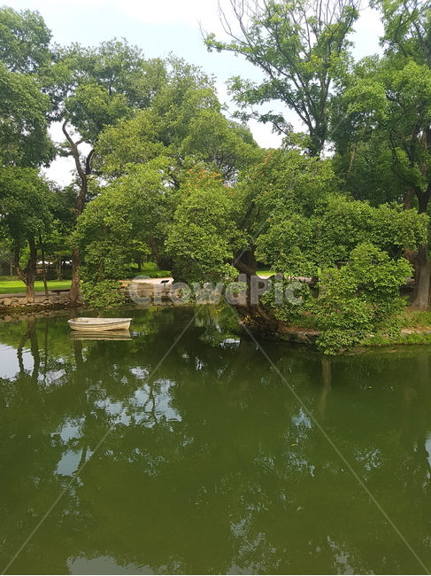 남원광한루원,광한루,광한루원,연못,호수,정원,자연,풍경,nature,landscape,한국자연풍경,한국자연경관,korea nature landscape,water,물,outdoors,옥외