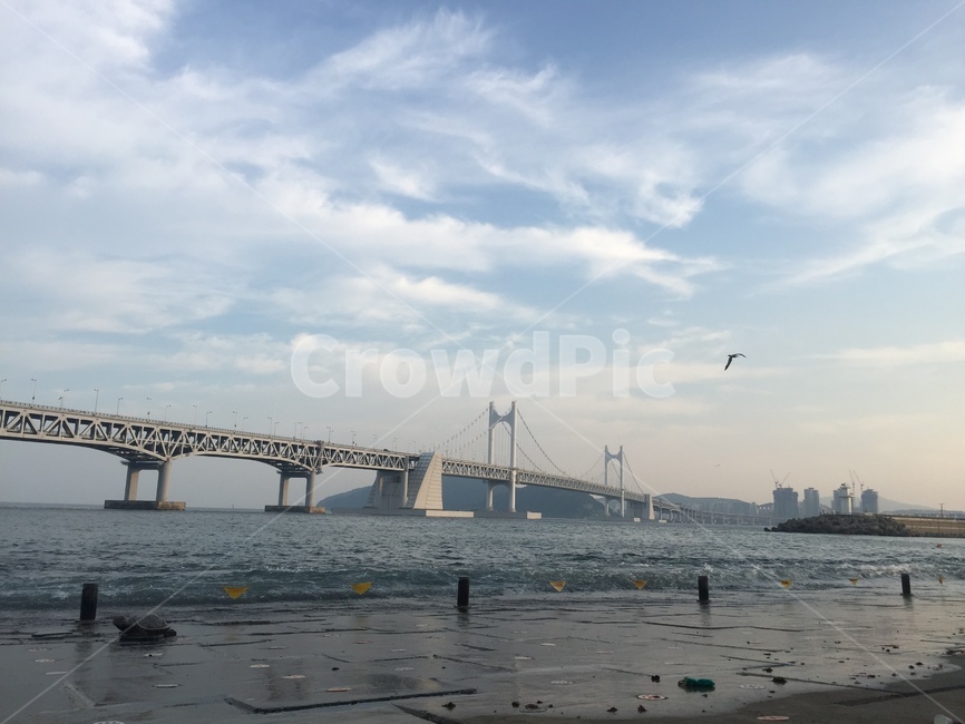 광안리,바다,여름,다리,대교