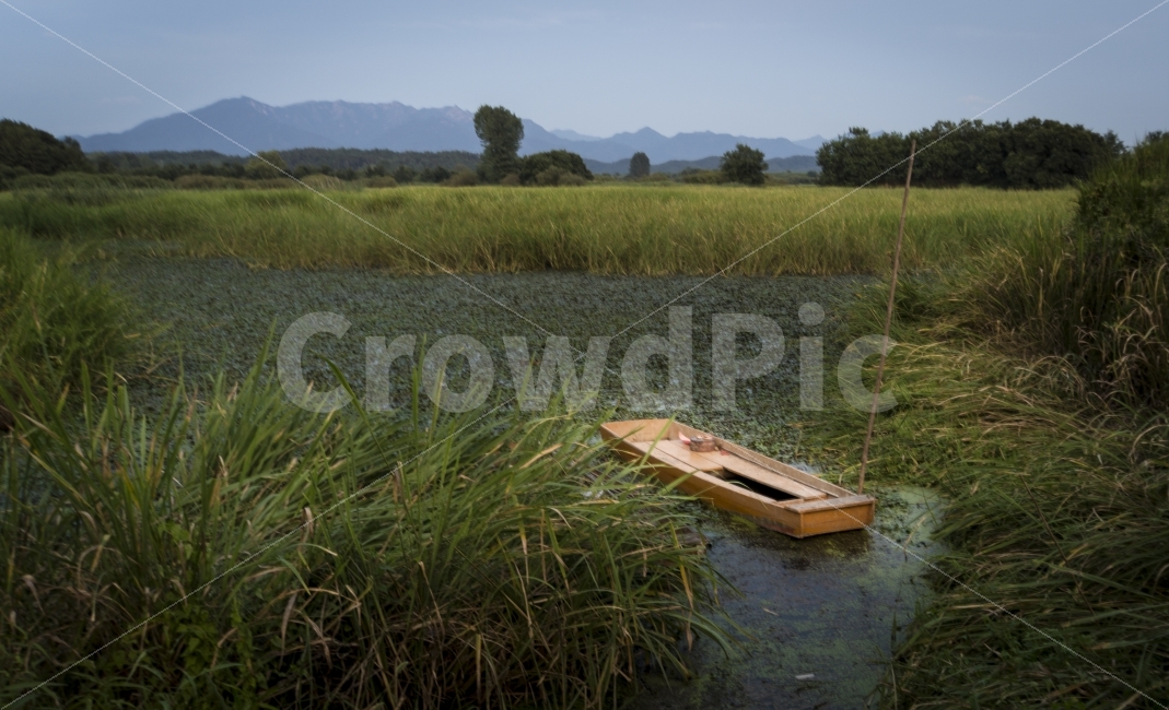 나룻배,여름,여행,우포늪,자연,창녕,풍경,boat,자연,풍경,nature,landscape,여름,계절,summer,season,watercraft,선박,transportation,교통,vehicle,차량
