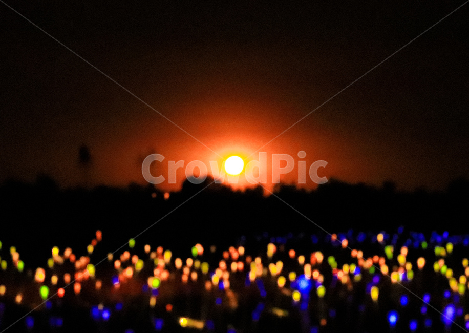 노을,nightphoto,야경,꽃,태양,sunset,sun,flower