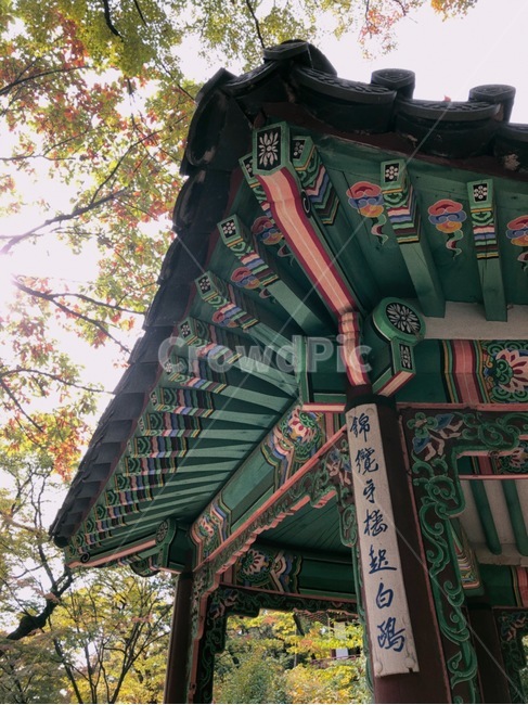 changdeokgungpalace,창덕궁,창덕궁후원,한국관광지,유명관광지,한국궁궐,풍경,경치,낙엽,한국전통,한국문화,korean traditional,korean culture,건축물,건물외관,exterior,building,structure,architecture,construction