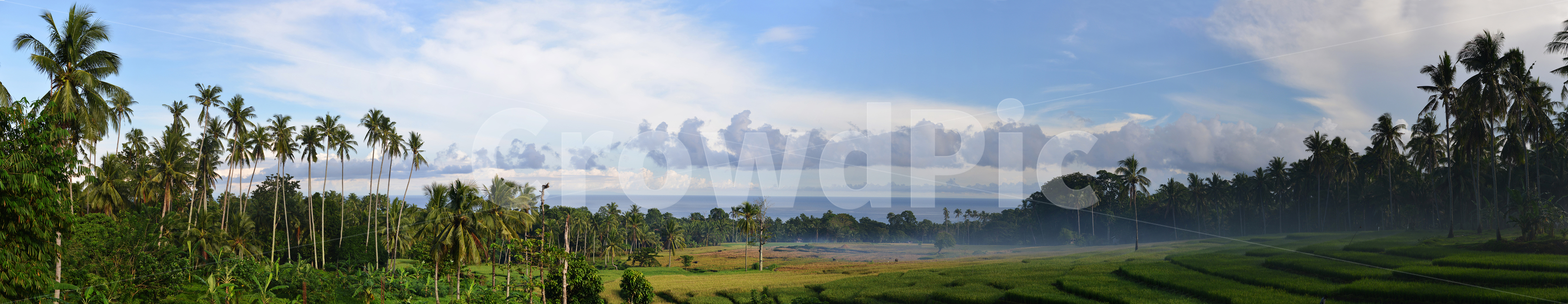 풍경,바다,구름,야자수,동남아시아,landscape,cloud,palmtree,southeastasia,자연,풍경,nature,landscape,해외,외국,세계,foreign,oversea,world,세계자연풍경,해외자연풍경,외국자연풍경,world nature landscape,outdoors,옥외,grassland,목초지,field,들,weather,날씨