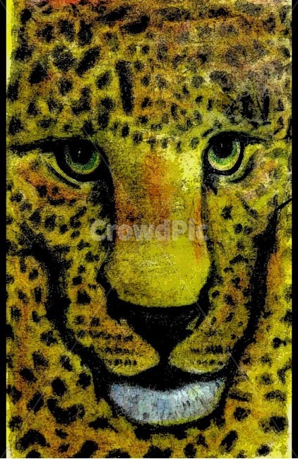 leopard picture,leopard,animal pictures,animal,cheetah drawing,Cheetah