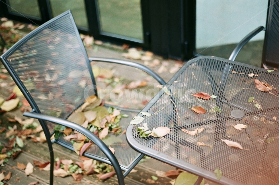 가을,기다림,쓸쓸함,카페,낙엽,기억,의자,가구,chair,furniture,가을,계절,fall,autumn,season
