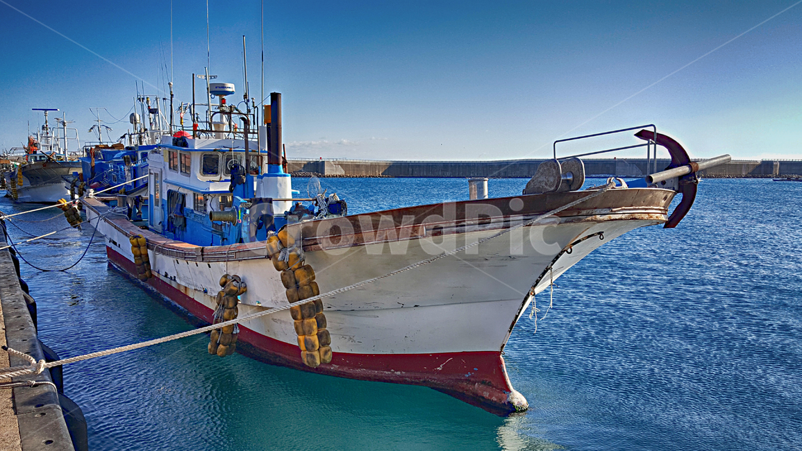 어선,항구,위미항,선박,교통,port,포트,바다,배,보트,boat,어업,fishery,fishing industry
