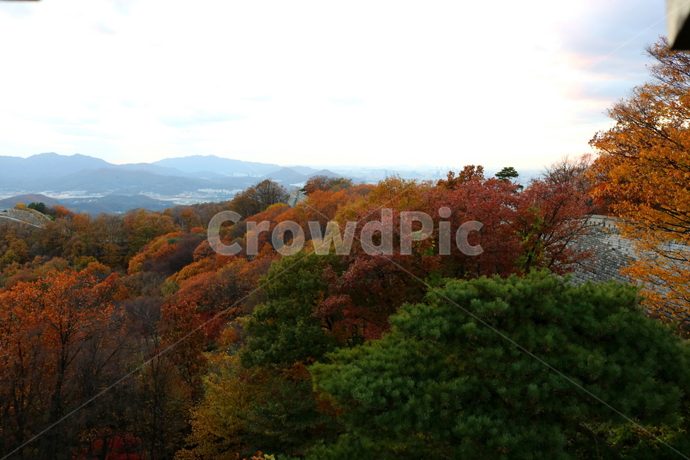 남한산성,산성,성벽,자연,풍경,산,가을,단풍,나무,공원,가을,계절,fall,autumn,season,nature,tree,plant,식물,outdoors,옥외