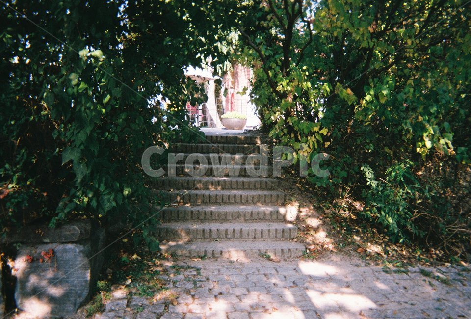 옥외,outdoors,garden,정원,길,필름,공원