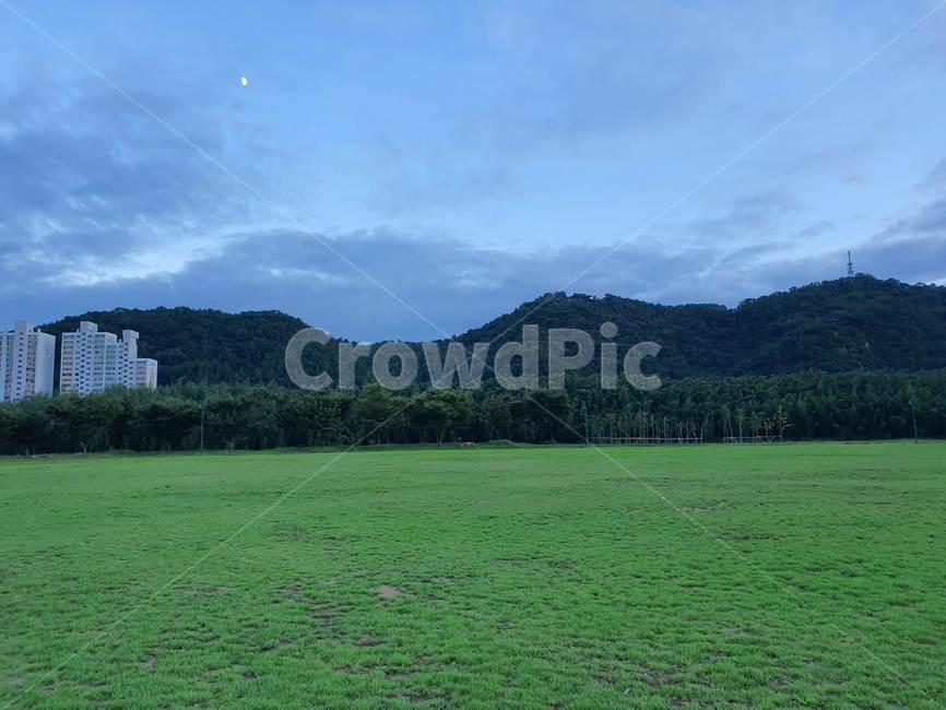 plant,식물,grass,잔디,field,들,nature,자연,자연,풍경,nature,landscape,outdoors,옥외