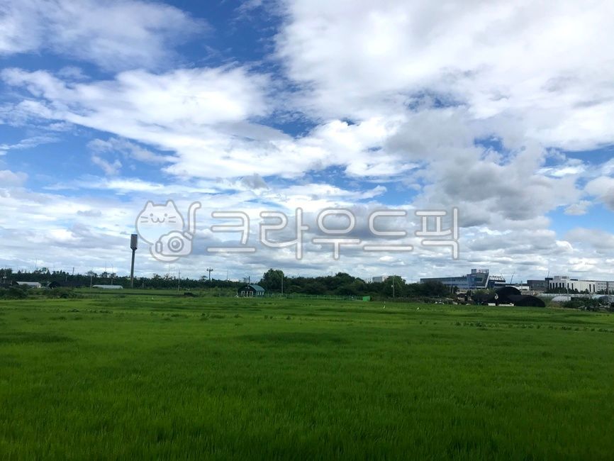 sky,cloud,green,clear sky,background