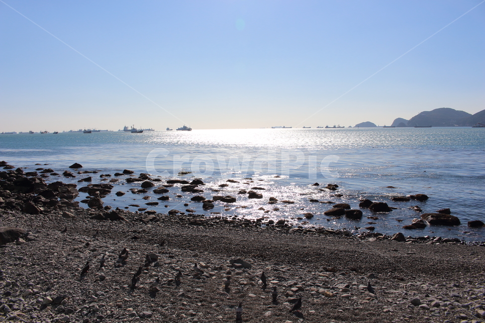 부산,여행사진,감성사진,풍경사진,바다,자연,풍경,nature,landscape,해변,바다,beach,sea,ground,바닥,outdoors,옥외,ocean,대양,water,물
