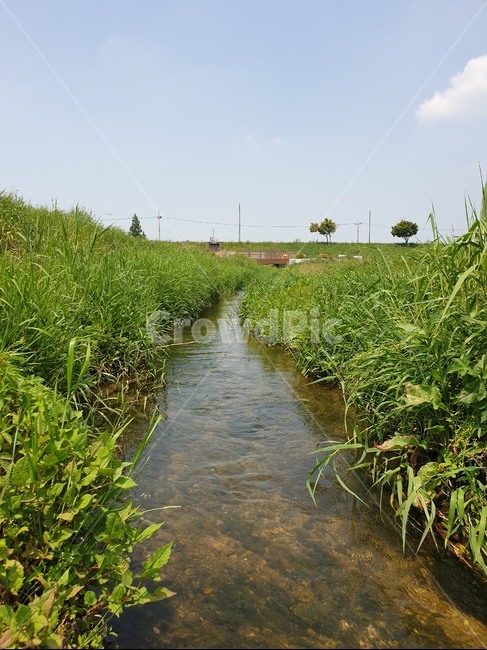 ditch,도랑,시냇물,풍경,배경