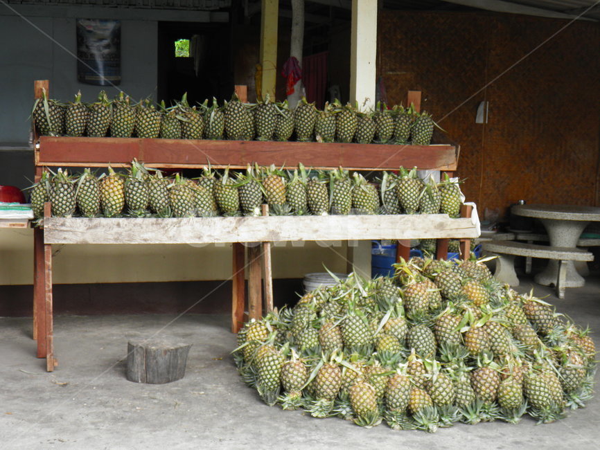 pineapple,파인애플,fruit,과일,음식