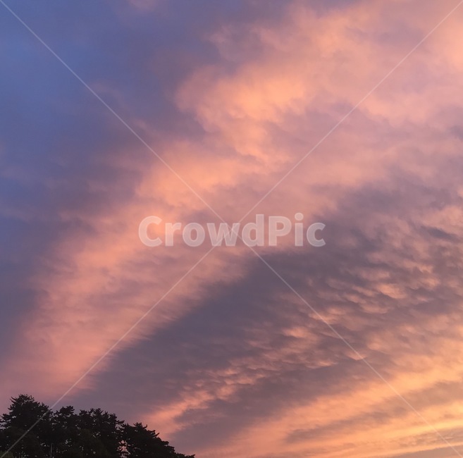 하늘,구름,노을,석양,sunset,저녁노을,마당,가을하늘