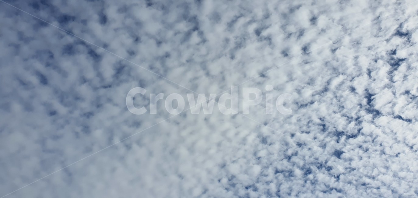 가을,푸른색,구름,하늘,자연,자연,풍경,nature,landscape,outdoors,옥외,cloud,sky