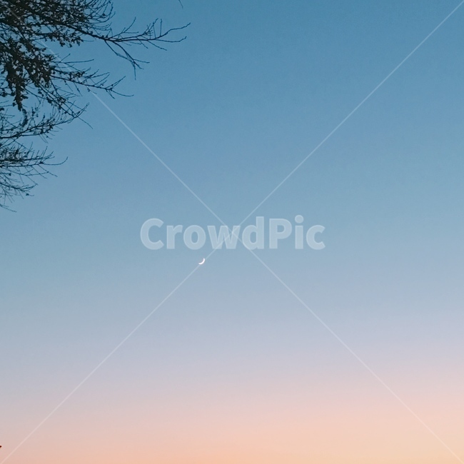 하늘,노을,달,풍경,moon,sky,sunset,자연,풍경,nature,landscape,야경,밤,nightscape,night,색깔,색상,색채,색감,color sense,color sensitivity,feeling of color,outdoors,옥외