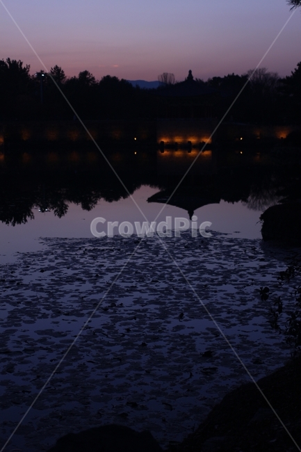 경주,안압지,야경,반영,일몰,야경,밤,풍경,nightscape,night,landscape,한국전통,한국문화,korean traditional,korean culture,랜드마크,landmark,tourist attraction,한국랜드마크,한국관광지,한국명소,korea landmark,korea tourist attraction,nature,자연