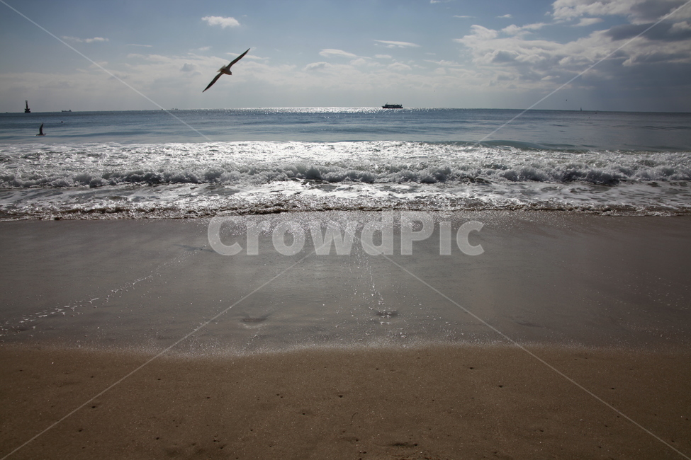 바다,파도,하늘,물보라,모래,배,구름,갈매기,자연,풍경,nature,landscape,sea,outdoors,옥외,ocean,대양,water,물,animal,동물,bird,새