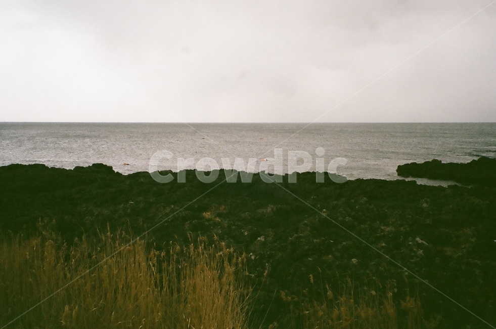 필름,film,analog,바다,ocean,자연,풍경,nature,landscape,감성,sensible,feeling