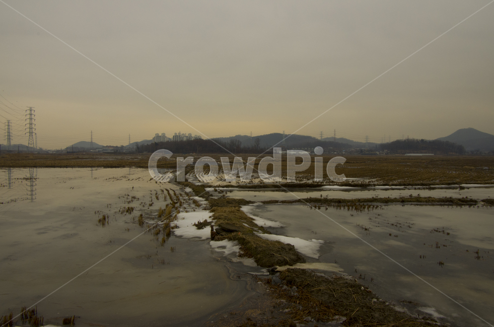 논,겨울,눈,논들,논두렁,물,들판,겨울들판,scene,view,feeling,emotion,nature,landscape,winter,rural,korea,rice,ricestubble,stubble,field,harvest,ice,풍경,감정,감성,자연,계절,풍경사진,감성사진,정취